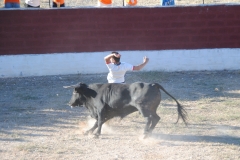 recorte en san roque 2017